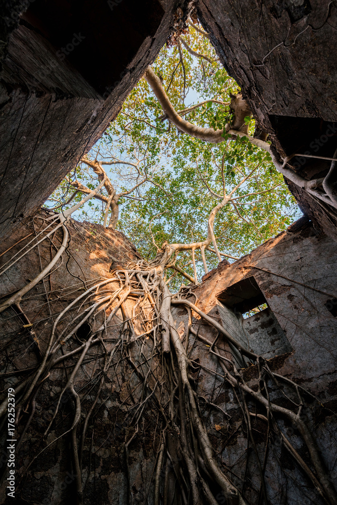 Obraz premium Redi fort (Yashwantgad Fort). India, Maharashtra.