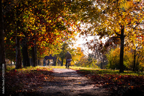 Park lane with people walking on a beautiful autumn day