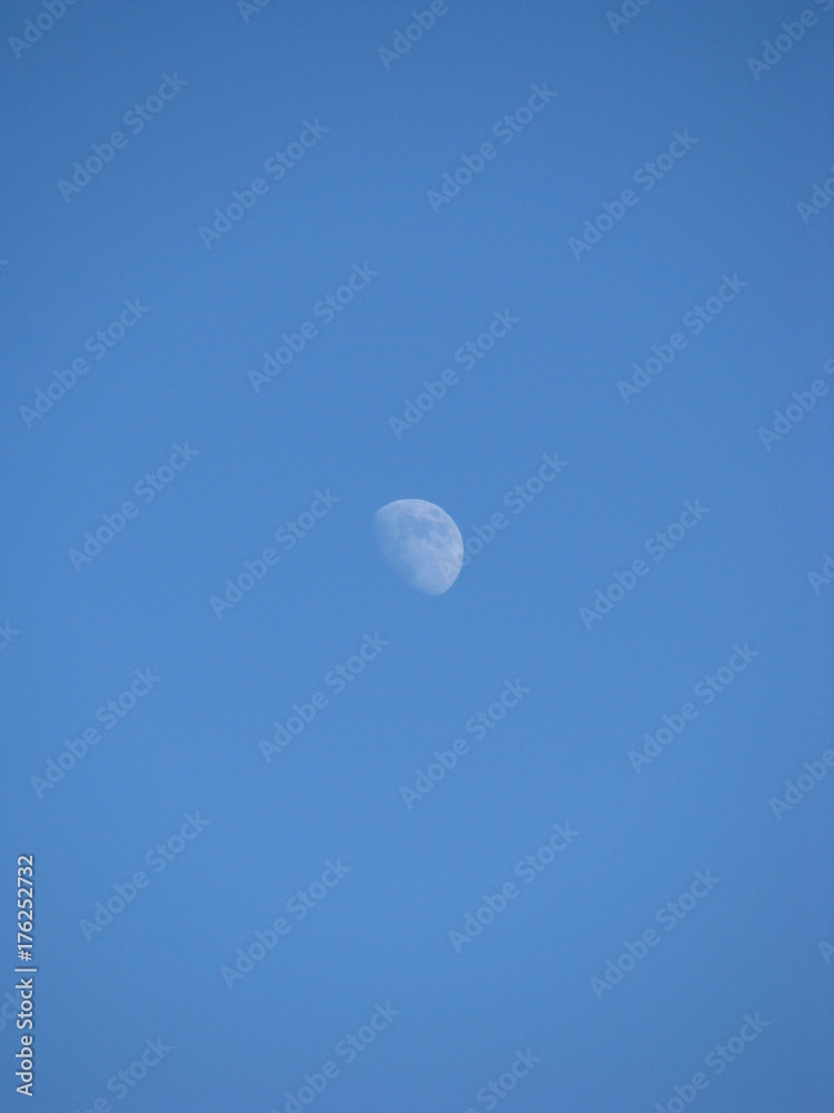 Half white moon during daylight Half white moon during daylight