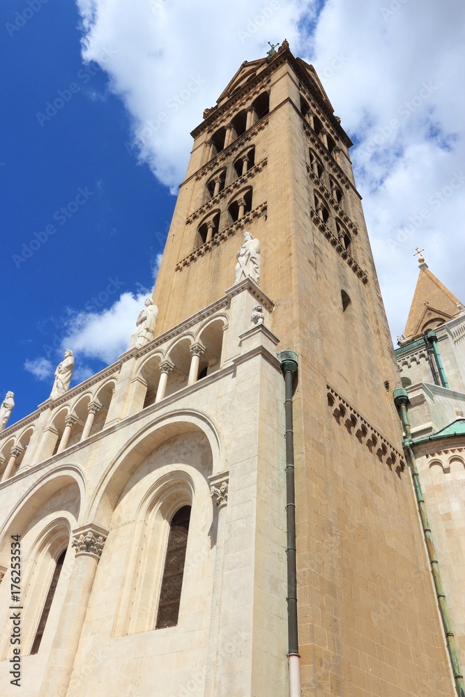 Obraz premium Cathedral tower in Pecs
