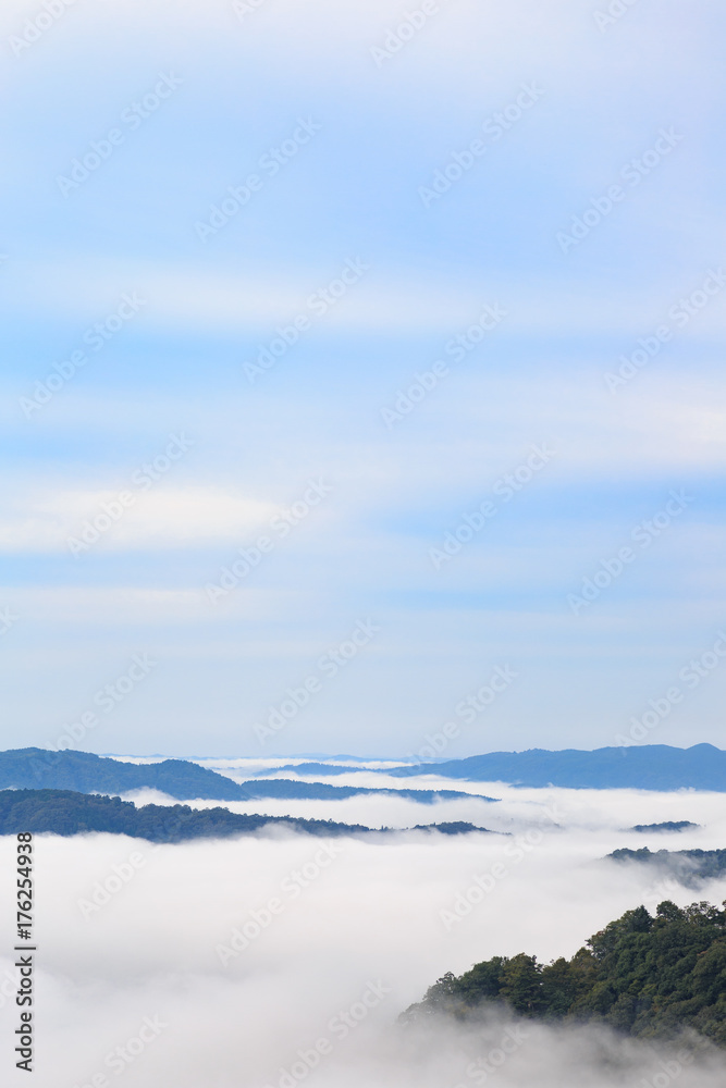 Obraz premium 備中松山城 -雲海に浮かぶ天空の城-