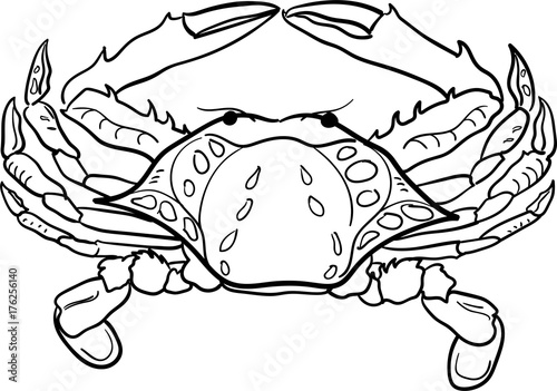 Contour black and white crab vector illustration. Hand-drawn ocean inhabitant for coloring book and other.