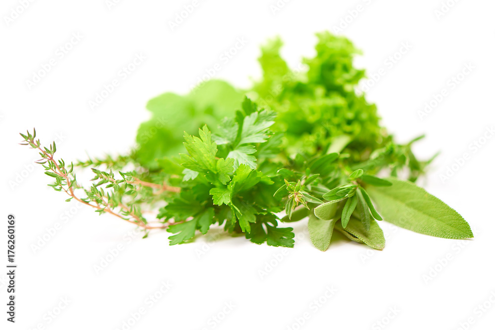 Fototapeta Parsley, Celery, Sage, Thyme, Lettuce leaf, fresh leaves isolated on white background