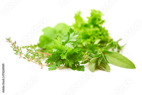 Parsley, Celery, Sage, Thyme, Lettuce leaf, fresh leaves isolated on white background