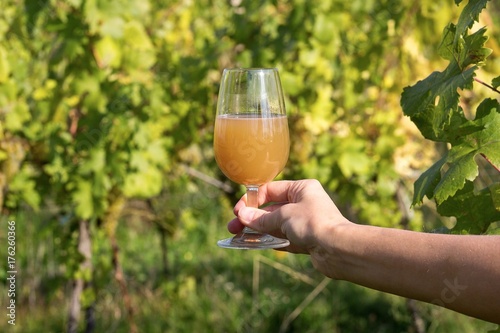 fresh grape must in wine glass