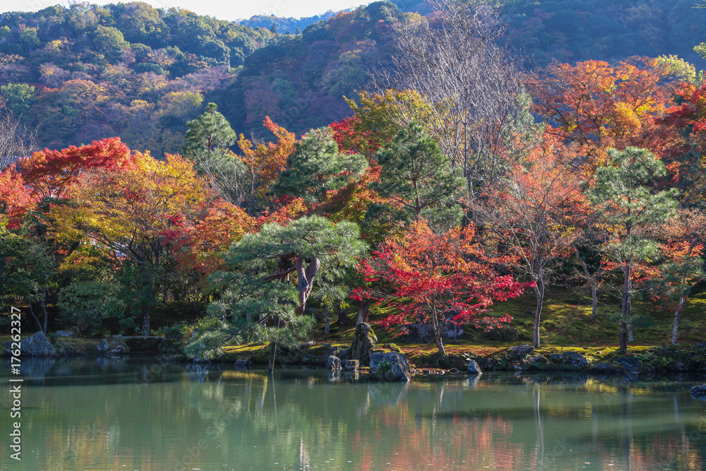  garden in autumn season at Tenryuji temple ,located in the scenic Saga Arashiyama area of Kyoto ,JAPAN. Autumn background.