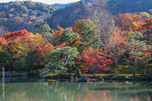  garden in autumn season at Tenryuji temple ,located in the scenic Saga Arashiyama area of Kyoto ,JAPAN. Autumn background.