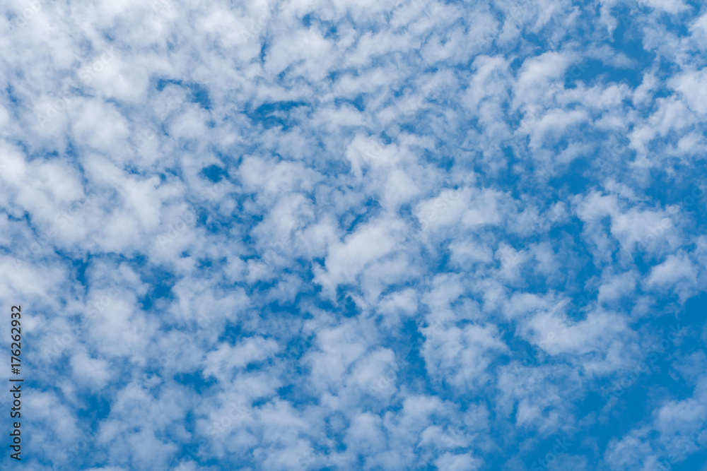 Altocumulus cloudscape on blue blue sky, Beautiful Cirrocumulus or Altocumulus on the middle altitude layer Altocumulus cloudscape on blue blue sky, Beautiful Cirrocumulus or Altocumulus on the middle altitude layer