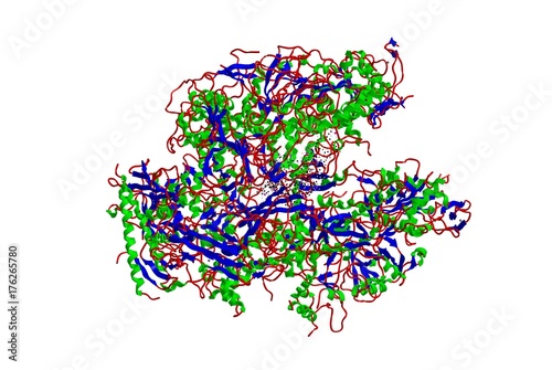 Molecular structure of RNA polymerase  3d rendering