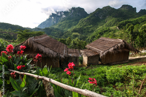 Chiang dao mountain (Doi Luang Chiang dao ) landscape with cottage and pink flowers on foreground.