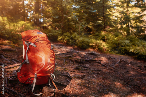 tourist backpack at the summer forest