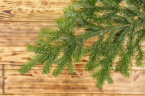 fir branche on a wooden background