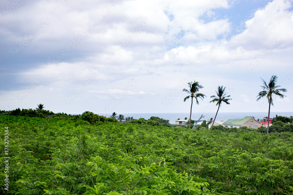 Fototapeta premium The seaside view of Taimali, Taitung.