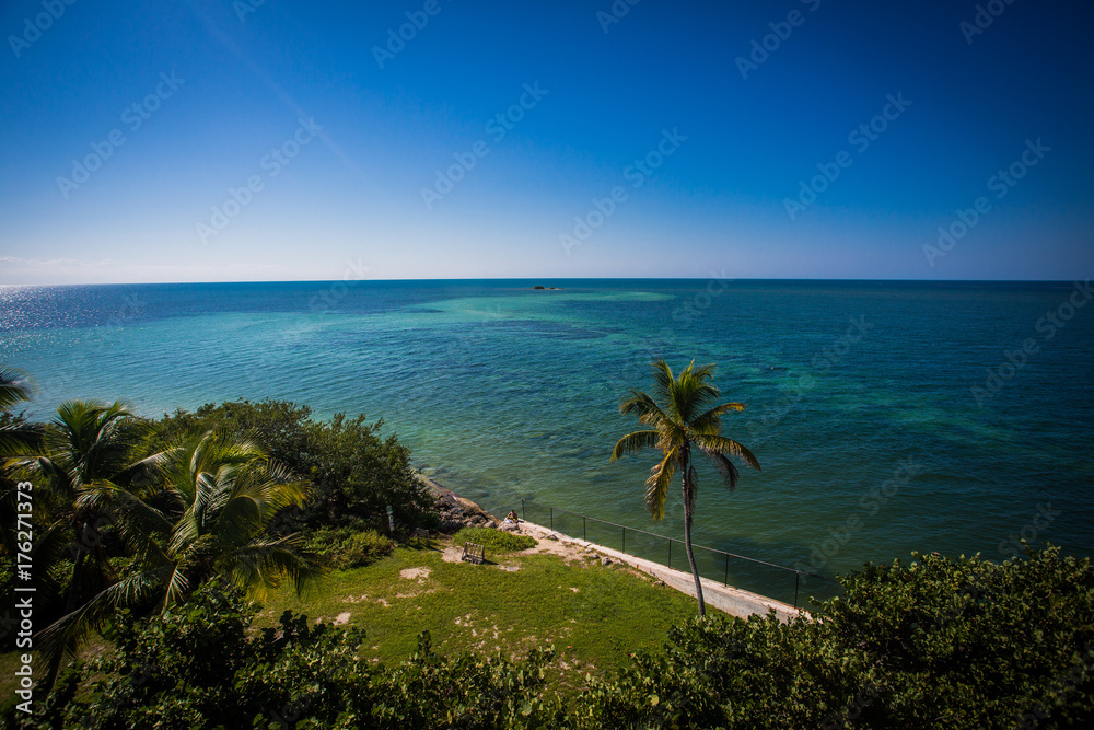 Palm tree on the beach shore on a tropical island Palm tree on the beach shore on a tropical island