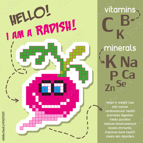 Creative infographics about vitamins and minerals in radish. Health benefits of radish. Cartoon style. Vector illustration