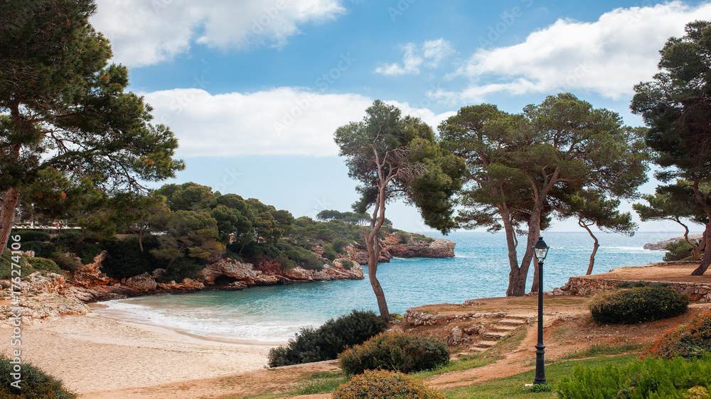 Fototapeta premium Palma de Mallorca