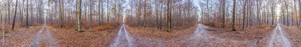 Wegekreuzung im Wald