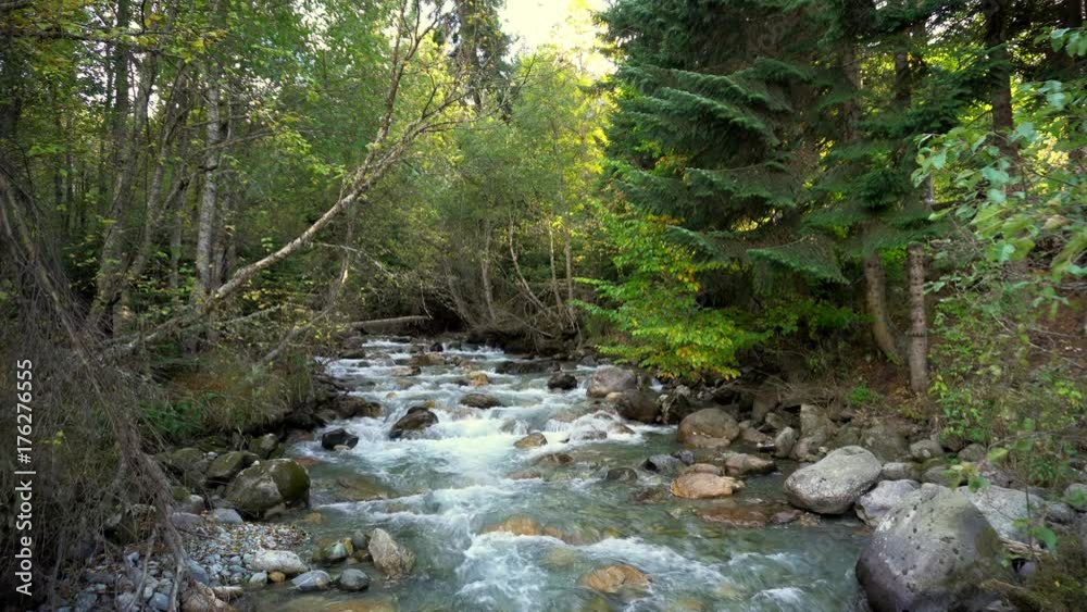 Mountain river Mountain river