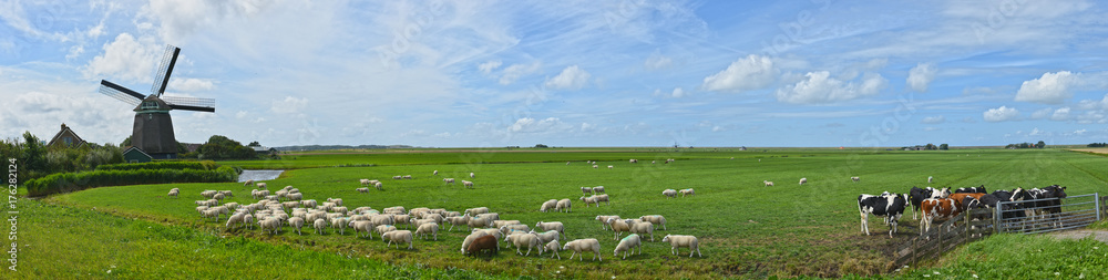 Panorama Windmühle Noord-Holland Panorama Windmühle Noord-Holland