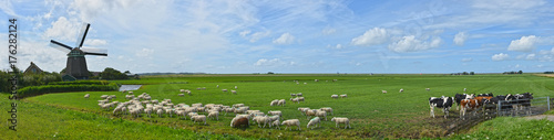 Panorama Windm  hle Noord-Holland