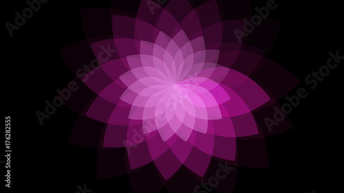 Shiny Flower Background