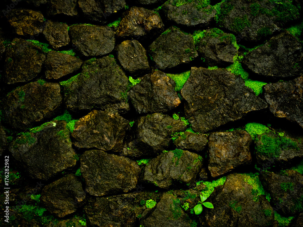 Green rock background