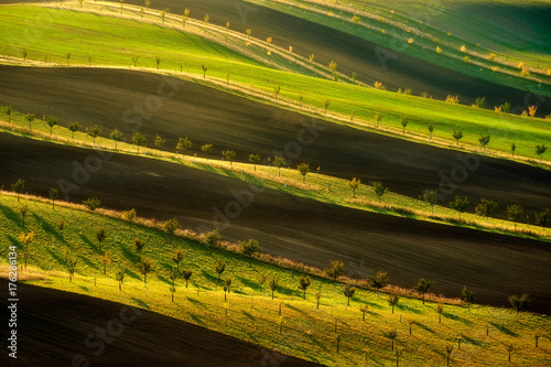 panoramic view of the field waves with lines, south moravia, autumn photo