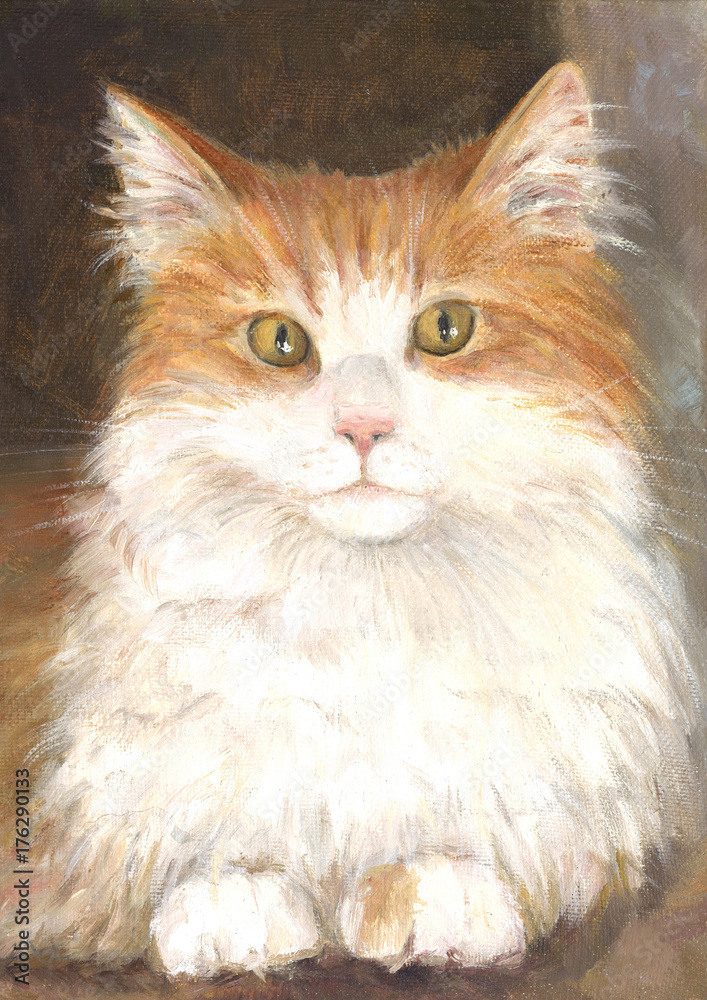 Red pussy cat, oil painting