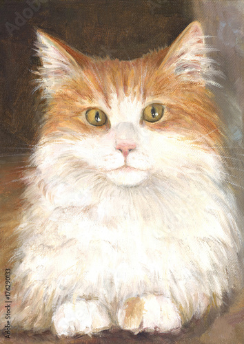 Red pussy cat, oil painting