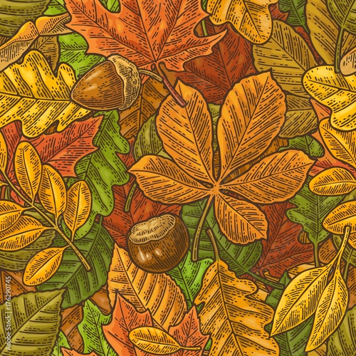 Seamless pattern leafs, acorn, chestnut and seed. Vector vintage engraving