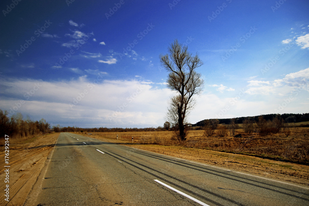 Fototapeta premium Road