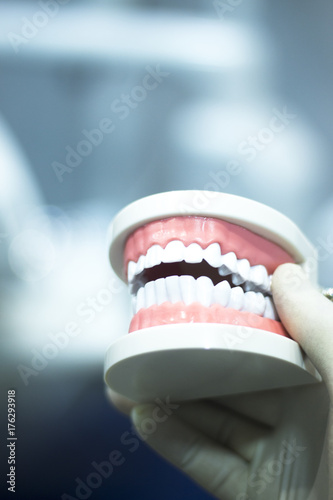 Wallpaper Mural Dental teeth mouth model Torontodigital.ca