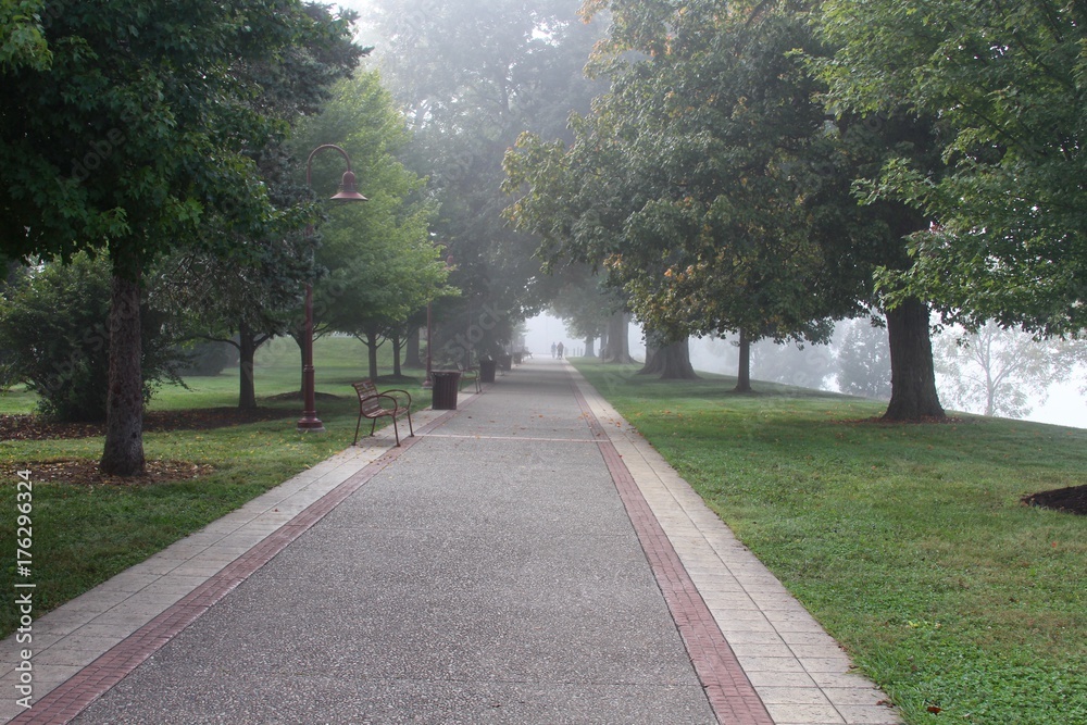 Obraz premium The foggy walkway in the park,