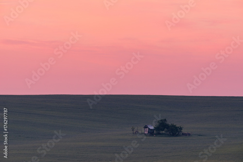 Green fields in the sunrise in South Moravia,Czech Republic. Waves hills with green grass, rolling fields. Beautiful spring landscape at sunrise. Agriculture. Colorful nature background. Green meadows