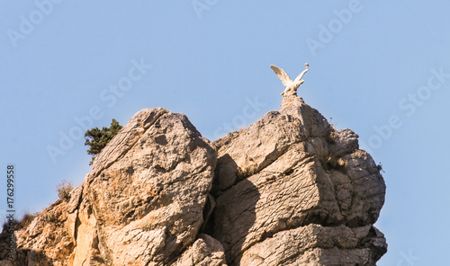 Monument to a sea gull on a rock.