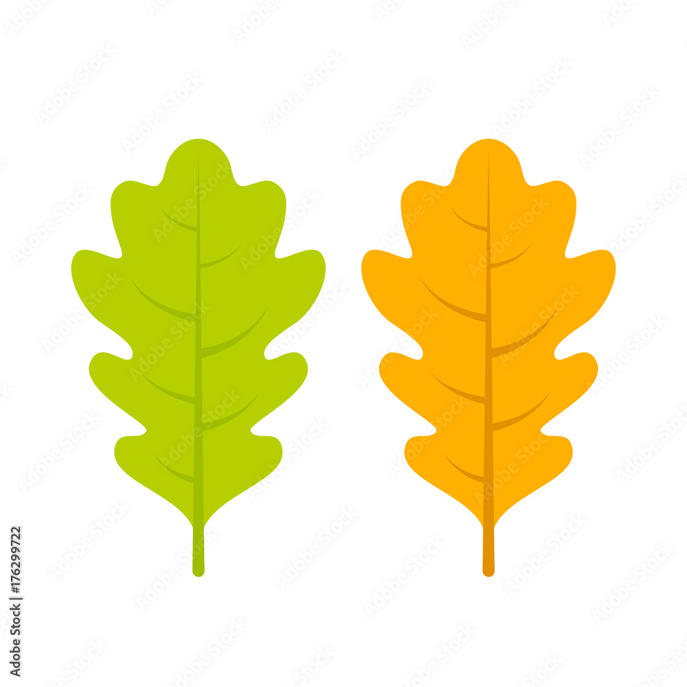 Fototapeta premium Yellow and green oak leaf vector icon