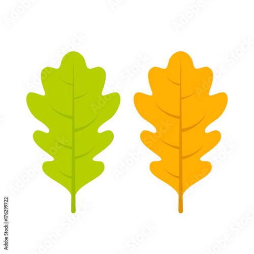 Yellow and green oak leaf vector icon