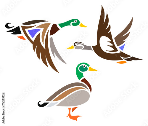 Stylized Birds - Ducks