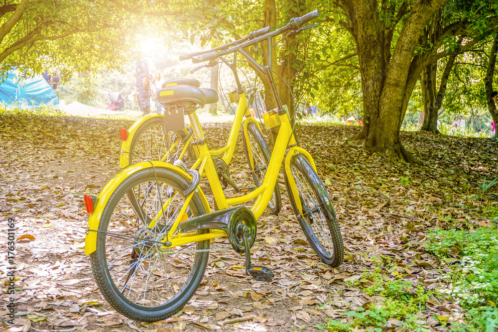Fototapeta premium Park parked bike