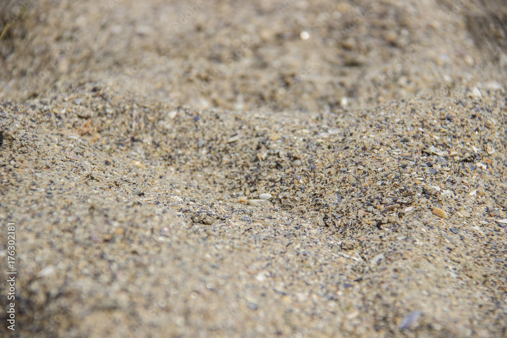 Close up broken seashell with holes on the sand at the beach by the sea. Close up broken seashell with holes on the sand at the beach by the sea.