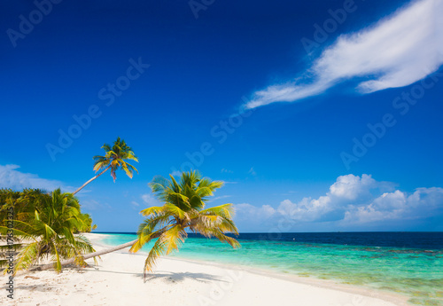 vacation at perfect tropical white sand beach