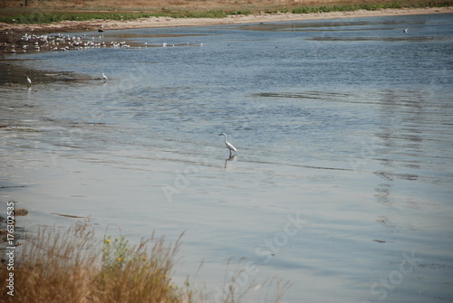 river