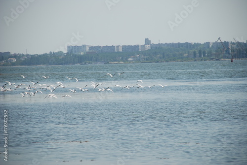 river