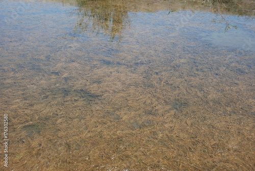 river