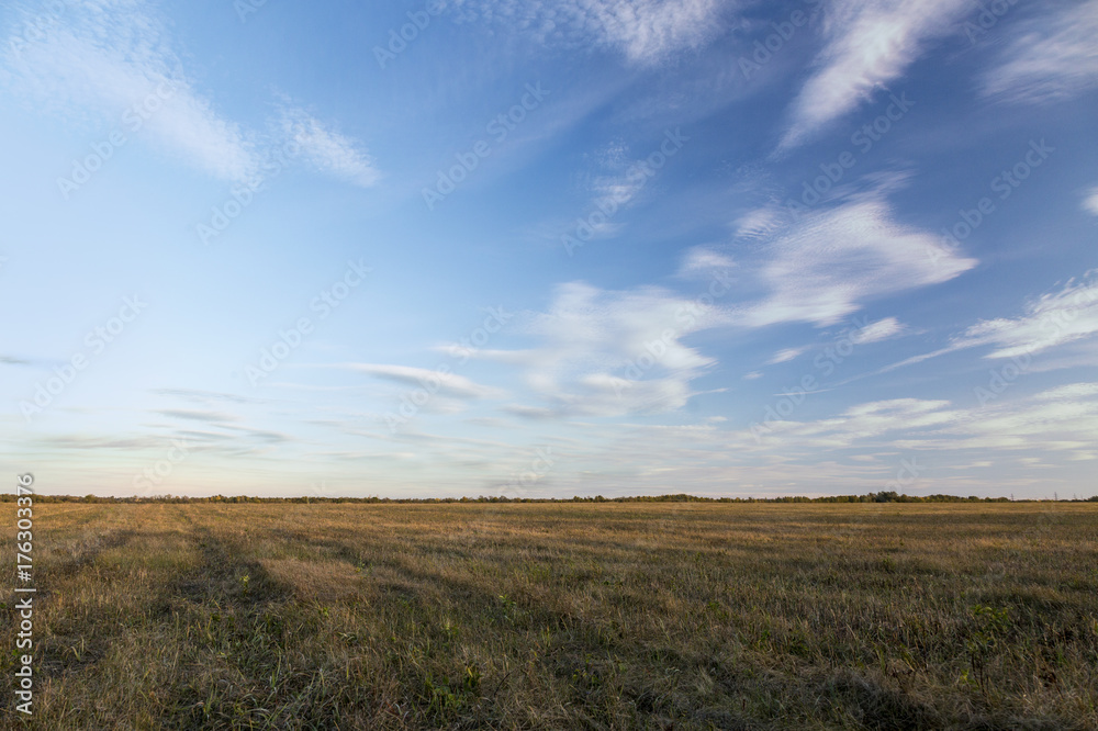 A large field in autumn evening and day. A lot of sky in the frame and field in the fall.