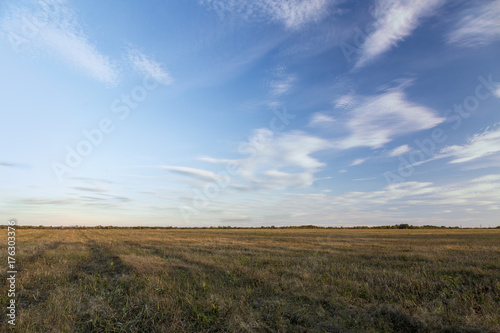 A large field in autumn evening and day. A lot of sky in the frame and field in the fall.