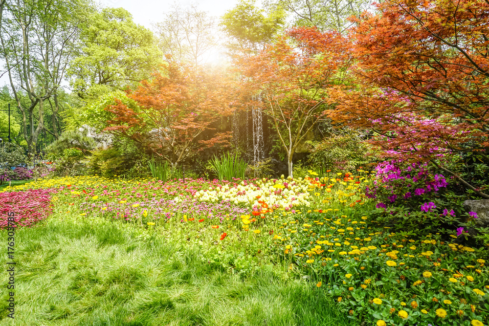 Fototapeta premium Park green trees