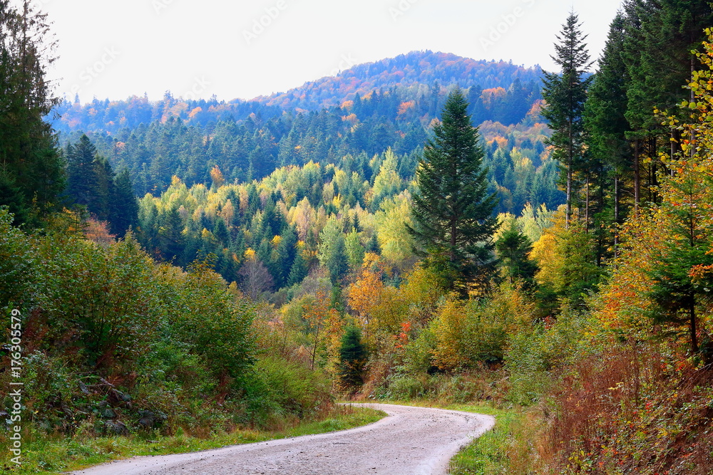 Mountain road in the Carpathians in the autumn.