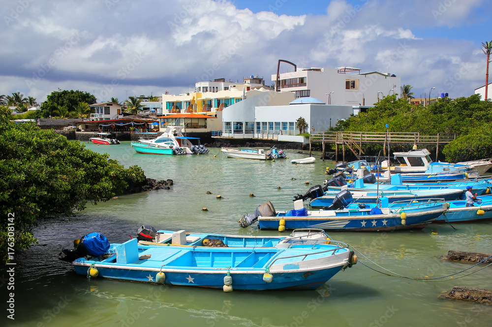 Boats anchored at Puerto Ayora on Santa Cruz Island, Galapagos National Park, Ecuador