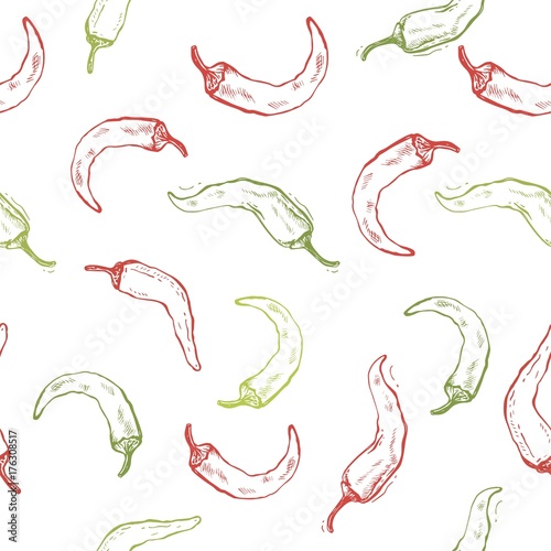 Chilly pepper, chilli Vector hand drawn vector illustration. Fresh organic vegetable, hot pepper in engraved style. Detailed food drawing.
